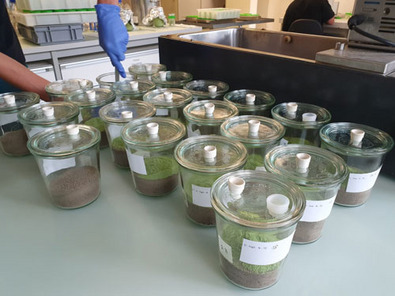 Soil incubation experiments.